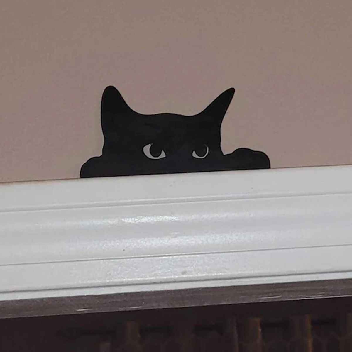 1 Pc Cat looking up Door Toppe - Kitchen Up recension och pris