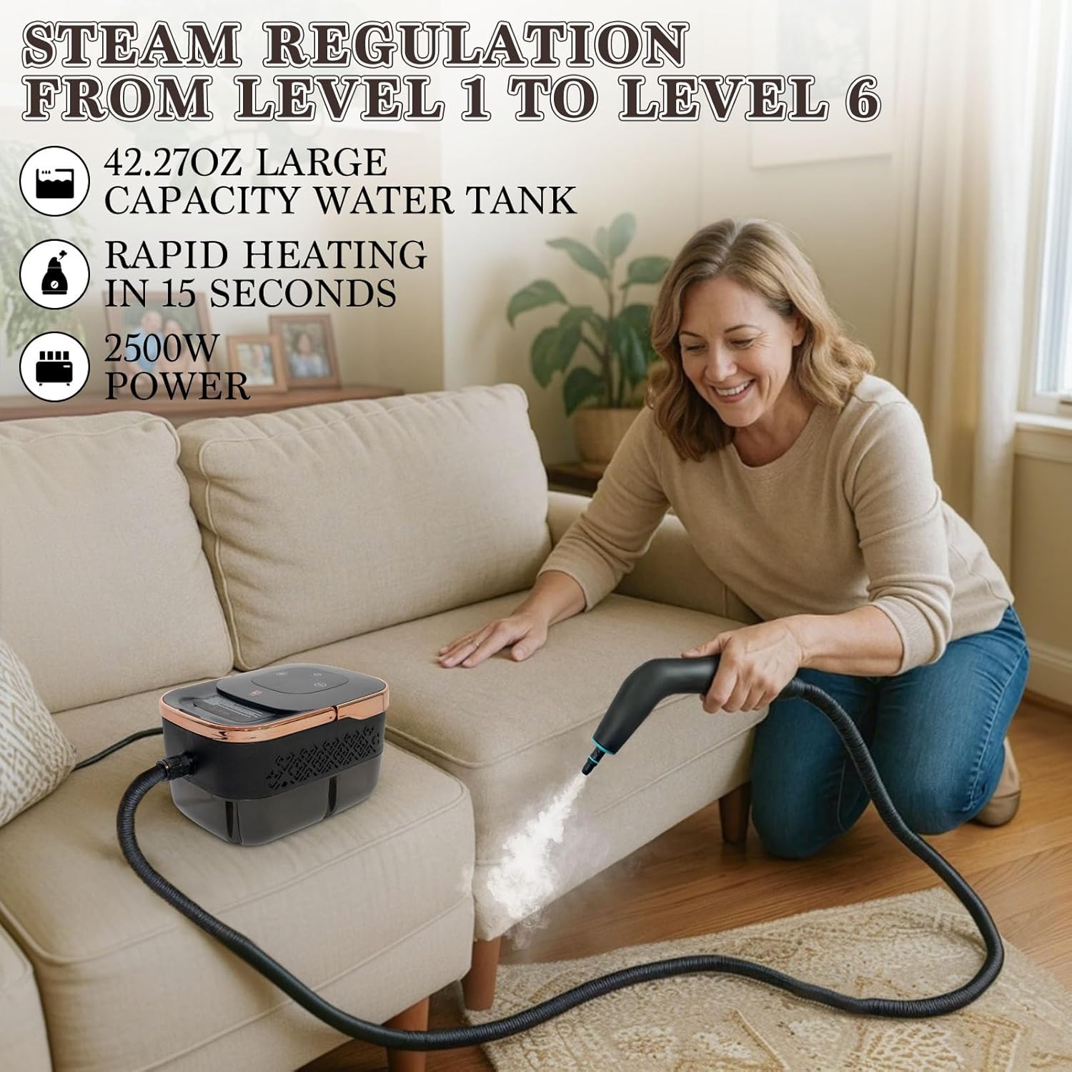 2500W Handheld Steam Cleaner,  - Kitchen Up recension och pris